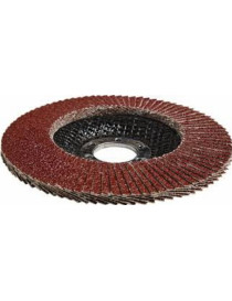 Lameļa slīpdisks P60 125X22,2мм