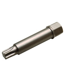 Uzgalis T50x64 ar 12 mm 6kanti Uzgalis T50x64 ar 12 mm 6kanti