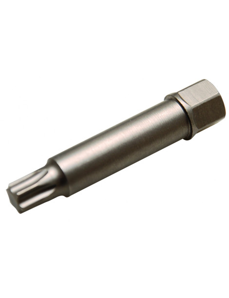 Uzgalis T50x64 ar 12 mm 6kanti