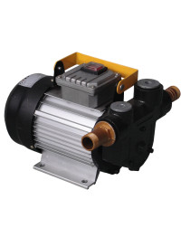 Degvielas sūknis 220V Degvielas sūknis 220V