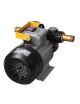 Degvielas sūknis 220V